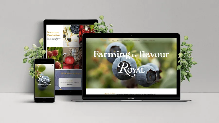 Redisseny web per a Royal — Auve Nico