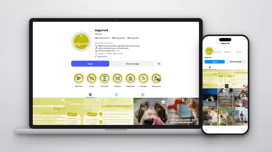 Instagram de SegurVet en mòbil — Auve Nico
