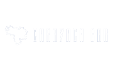 Carayaca Bar Logotipo como cliente de Auve Nico para edición web