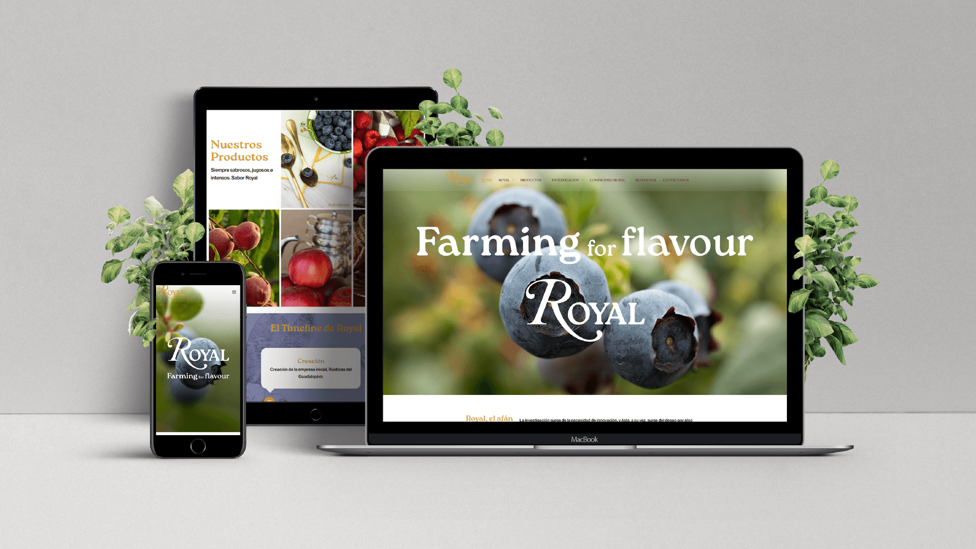 Diseño web de Auve Nico para Royal - Responsive