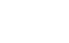 La Alicantina Logotipo como cliente de Auve Nico para creación web